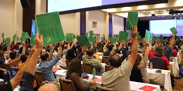 ETFO 2017 Annual Meeting: Delegate Elections